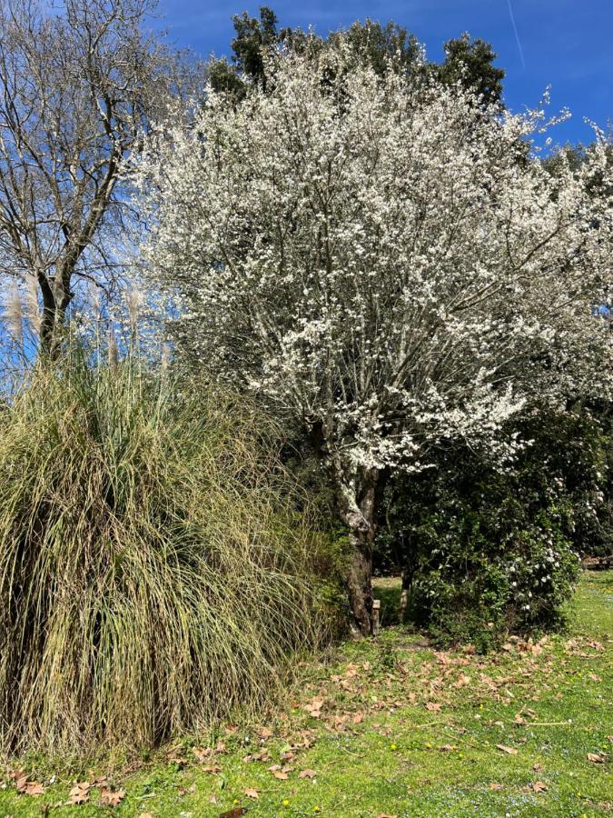Le P'Tit Bois Dore Blanquefort (Gironde) Exterior foto